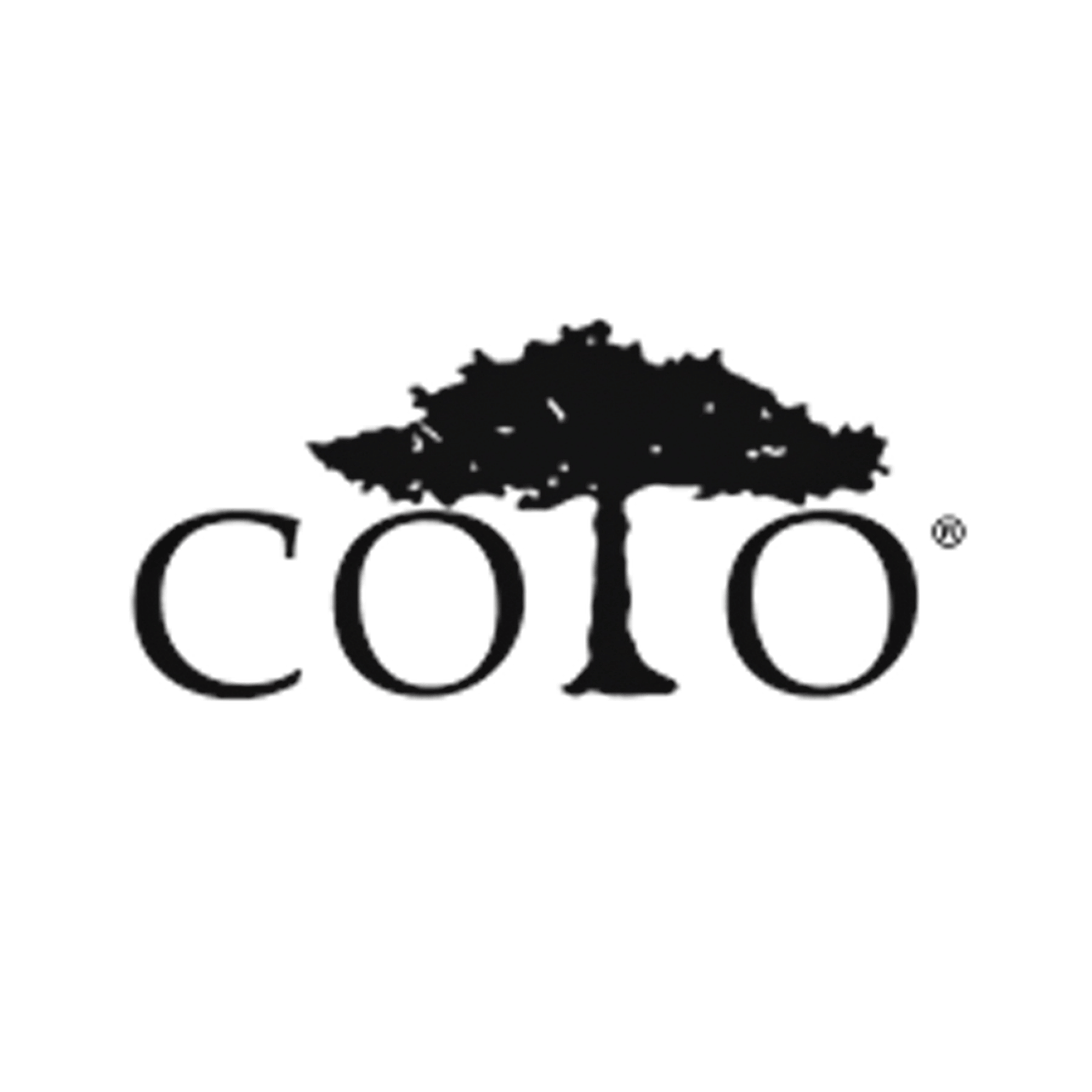 Coto Insurance logo with stylized tree above the word 'coto'.
