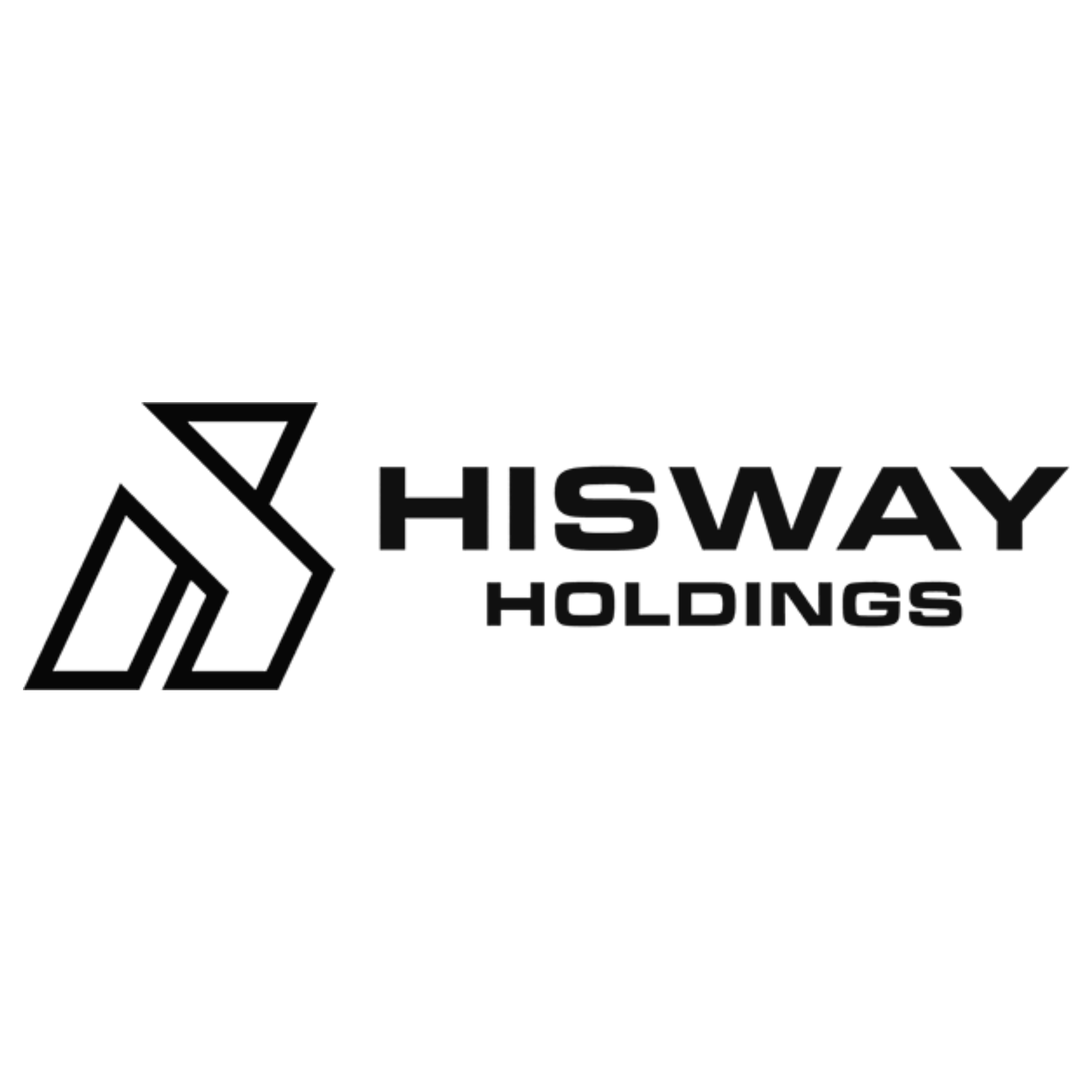 Hisway Holdings logo with stylized geometric icon to the left of the text.