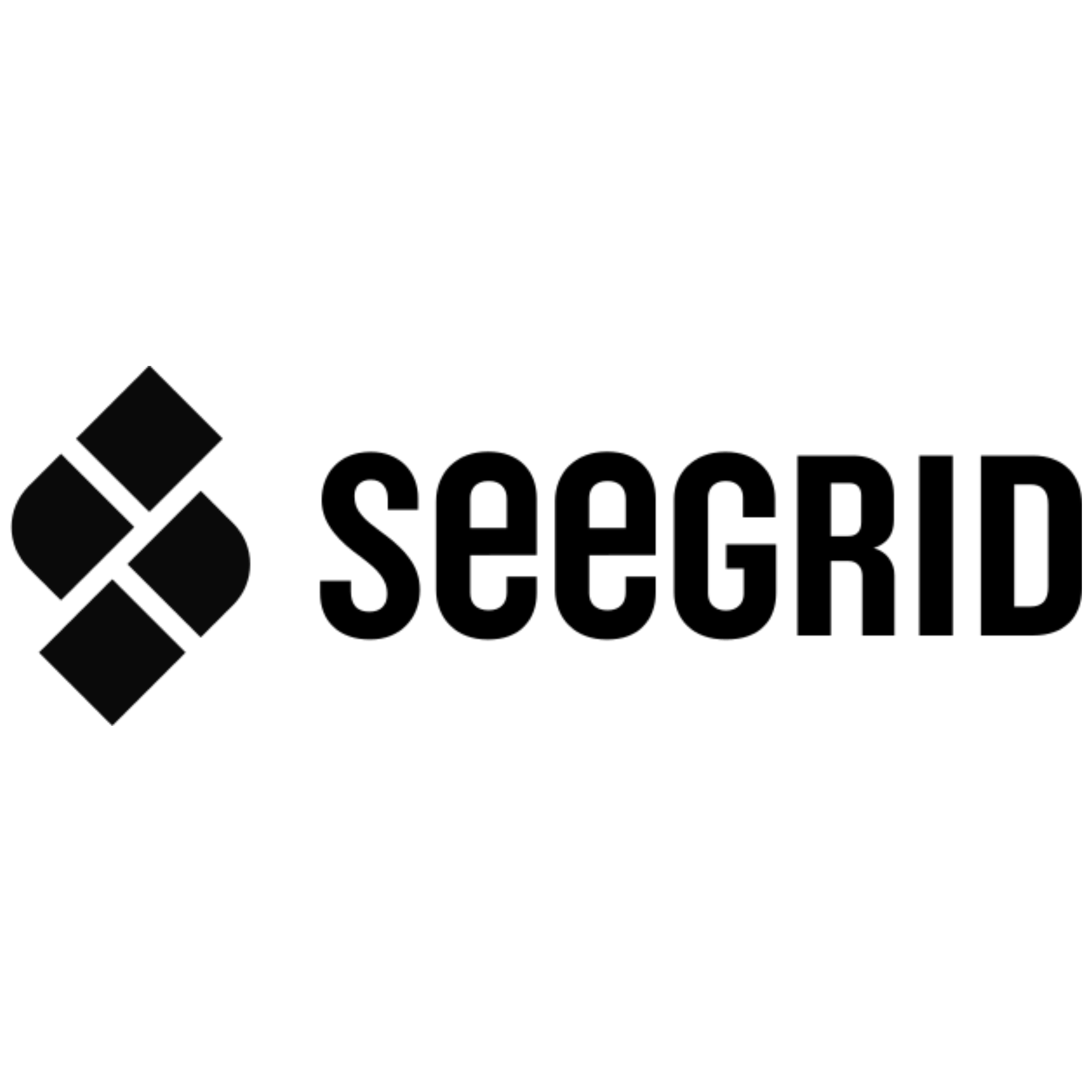 Seegrid corporate logo with geometric shapes to the left of the stylized text.