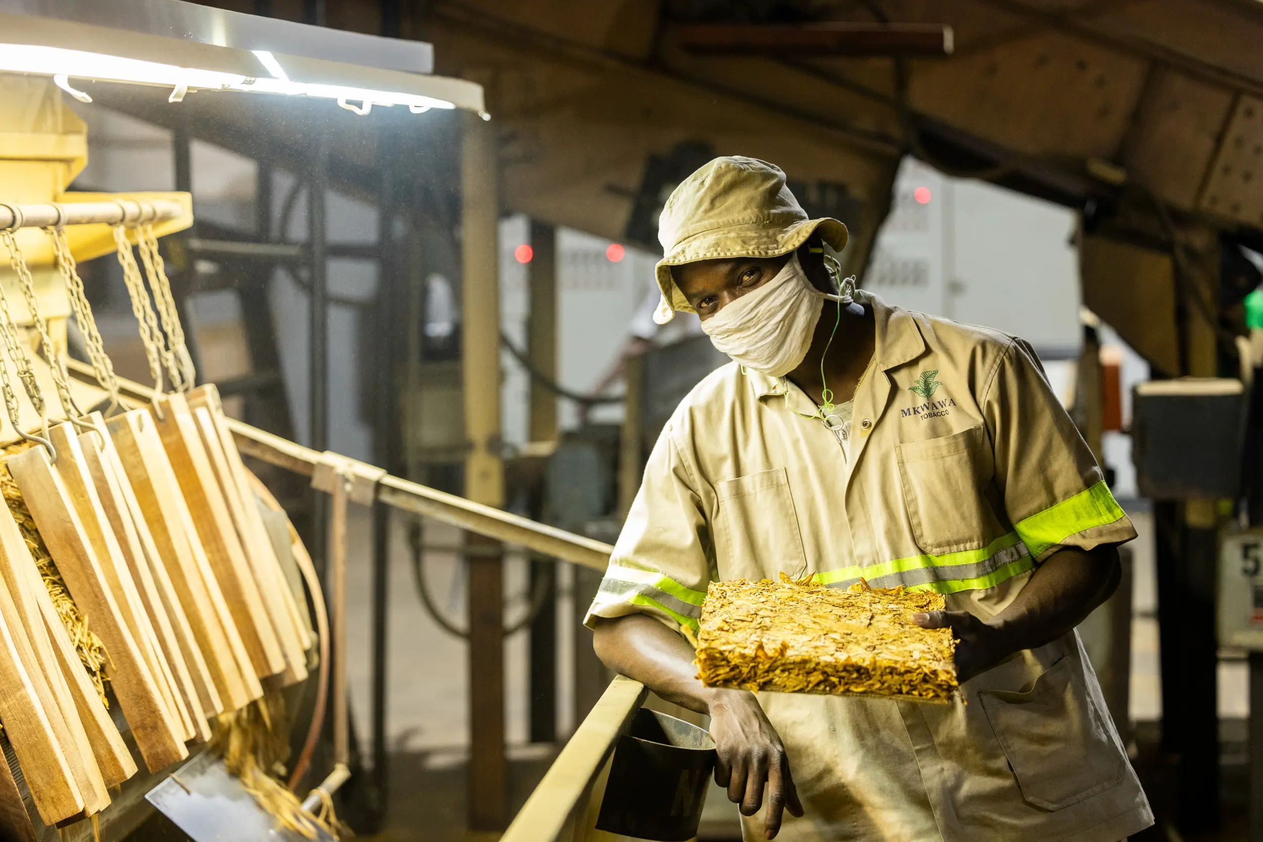Mkwawa Leaf Tobacco Leaf Processing