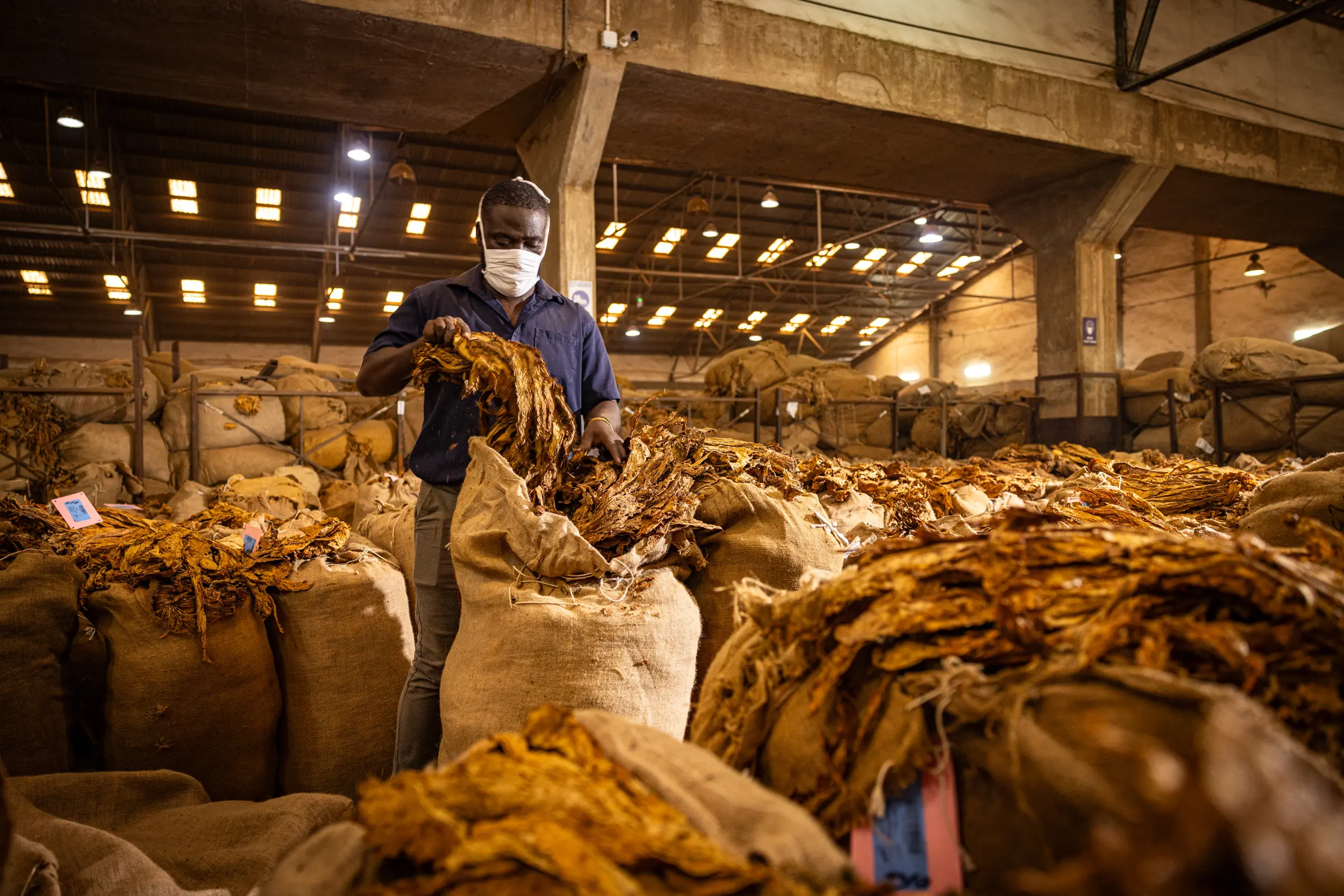 Mkwawa Leaf Tobacco Cargo