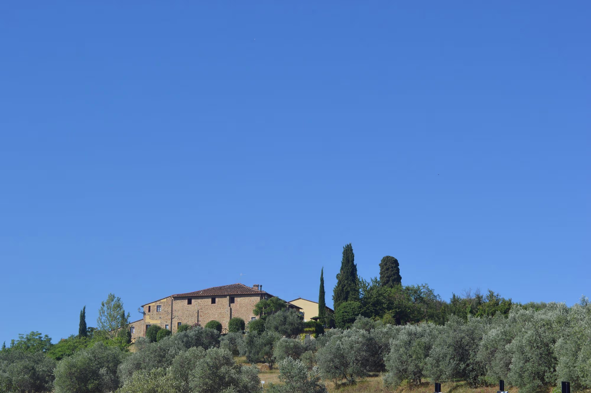 L'Aia