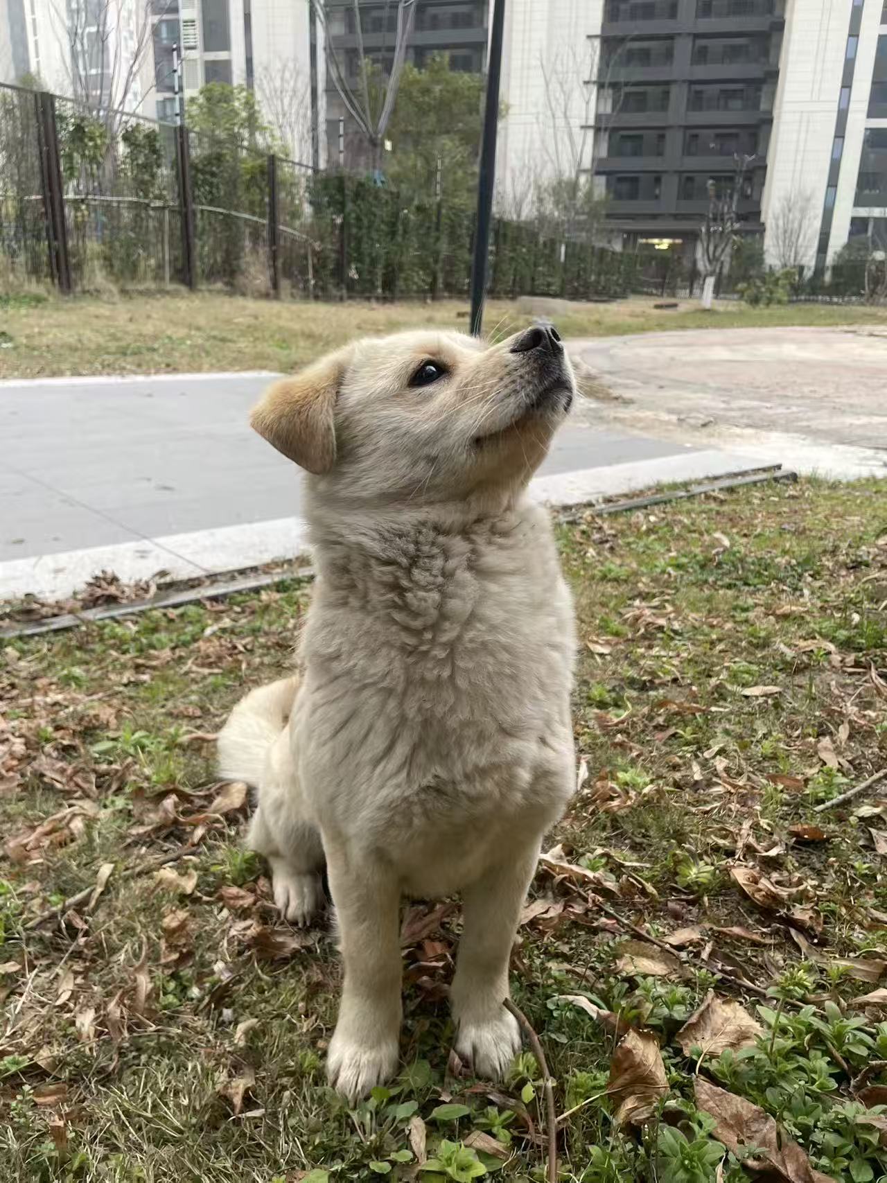 Preview photo of animal