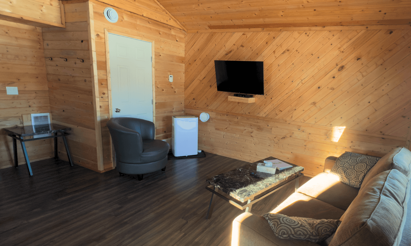 cabin living room with sofa, armchair, TV, and air purifier. Wood-paneled walls and dark hardwood floor.