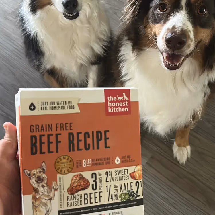 Creator spotlight background image