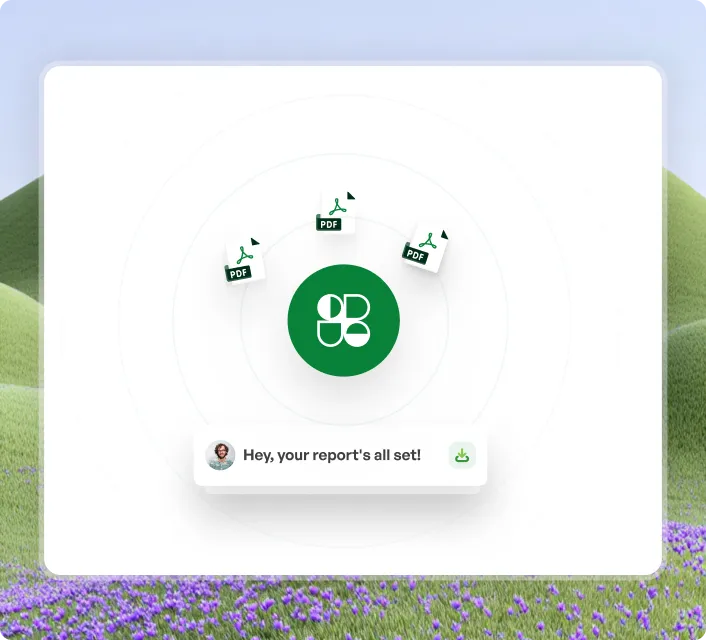 A computer screen with a picture of a field of purple flowers.