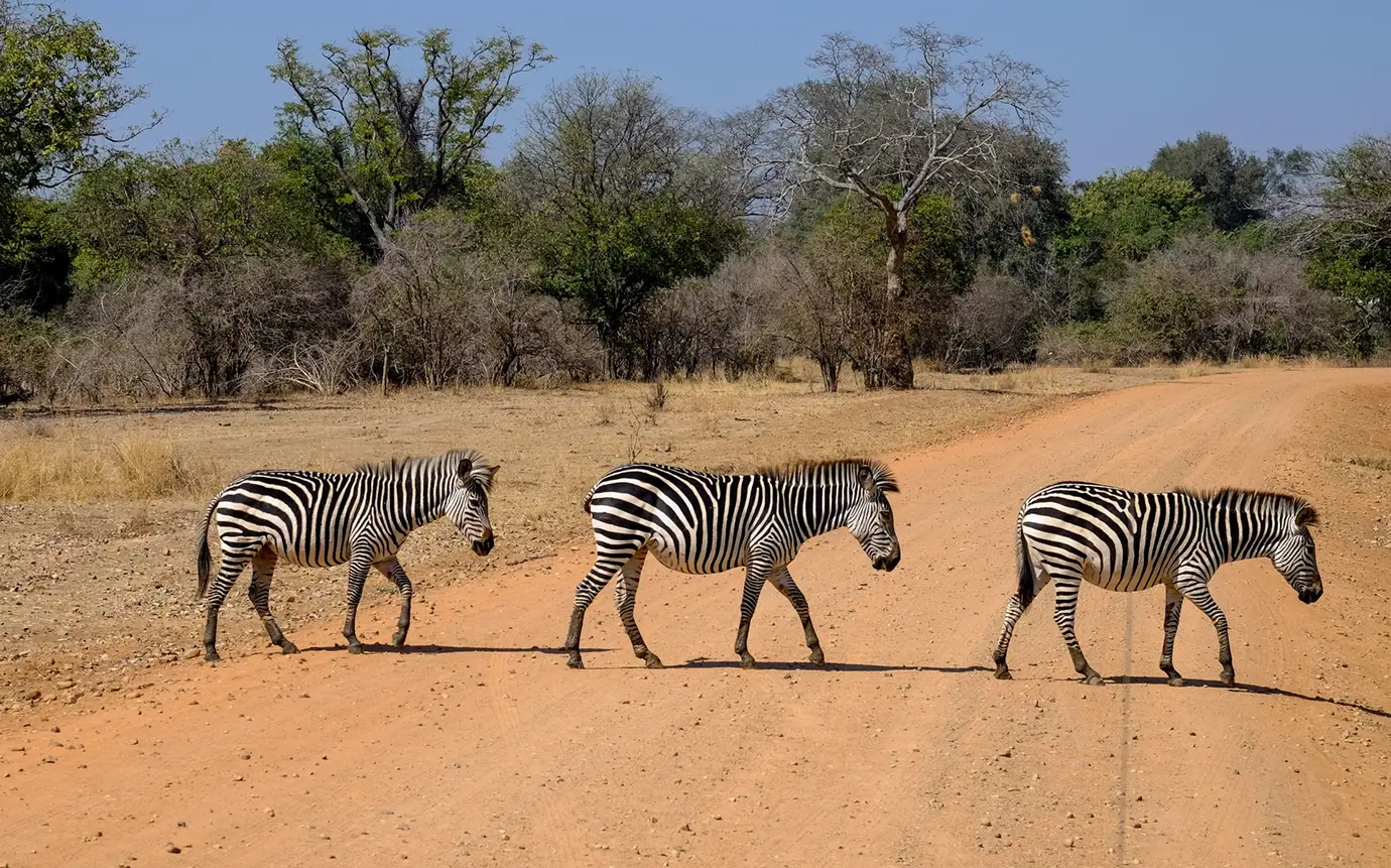 Featured Destination