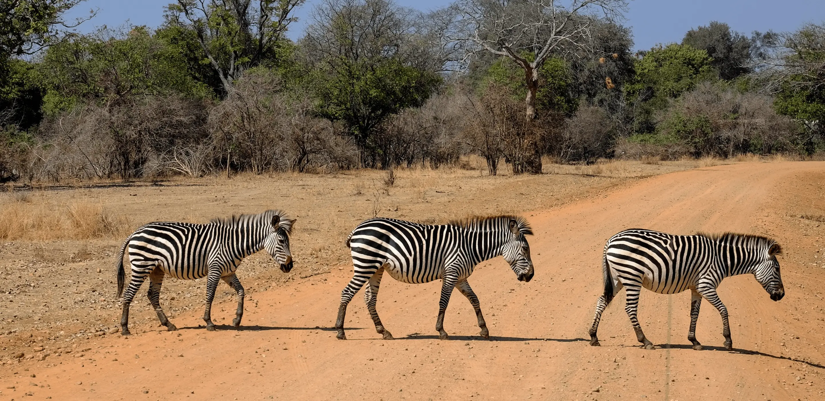 Destination Main Image