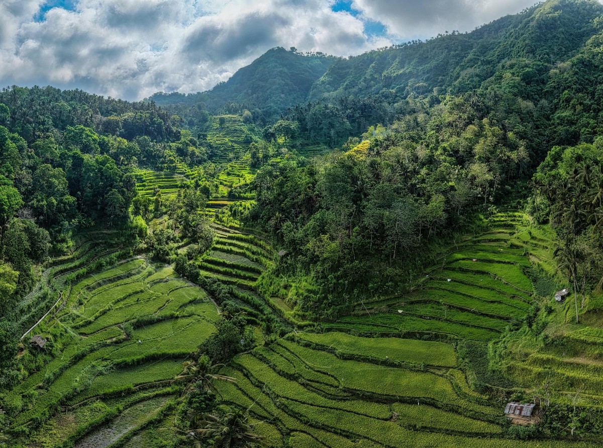 Bali’s iconic green rice fields and scenic countryside