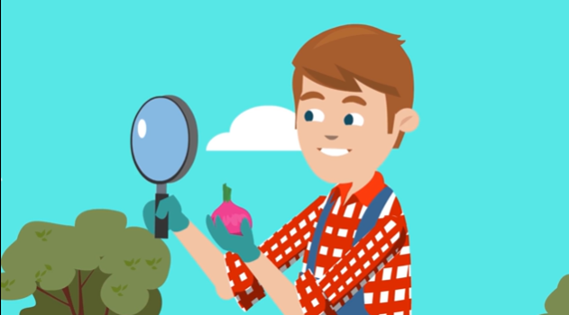 Example Of Video Nuggets 