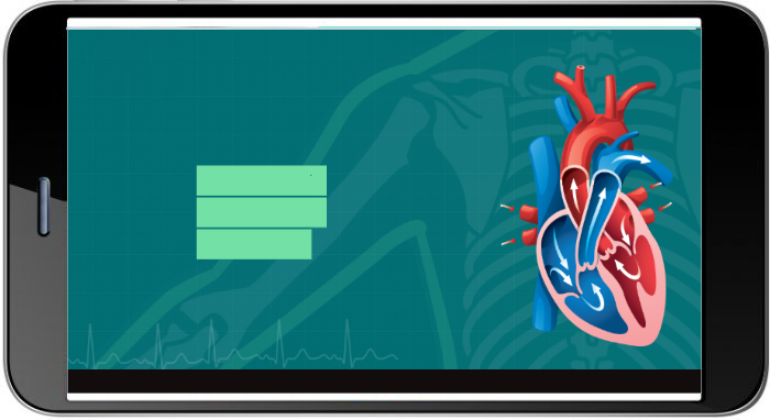 Example 2: Skilling underwriters and claim professionals of a Global Insurance Provider-Description 1
