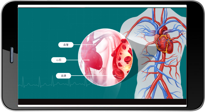 Example 2: Skilling underwriters and claim professionals of a Global Insurance Provider- Description 2