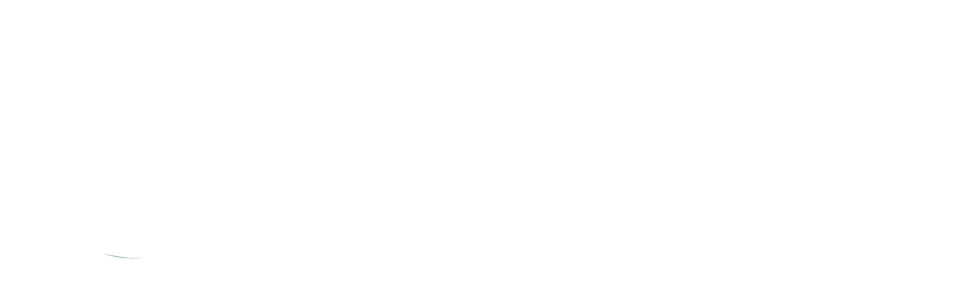 horizontal Wind & Rain logo