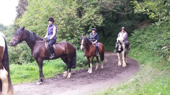 Mullacott Equestrian Centre