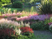 Marwood Hill Gardens