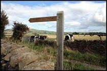 Fabulous walks in North Devon