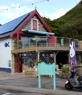 Ilfracombe Aquarium - Ilfracombe