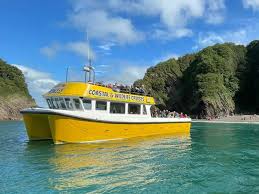 Wildlife Cruises - Ilfracombe
