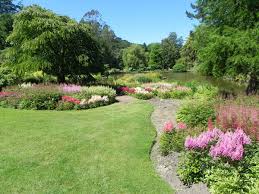 Marwood Hill Gardens
