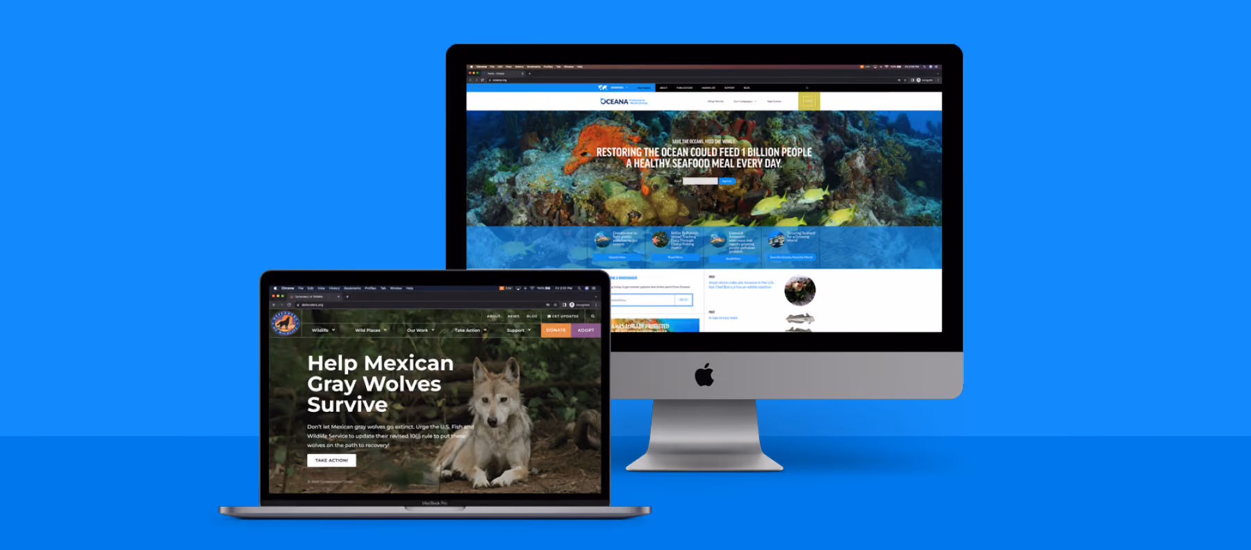 Cover image: Nonprofit Landing Page Design Best Practices and Practical Tips