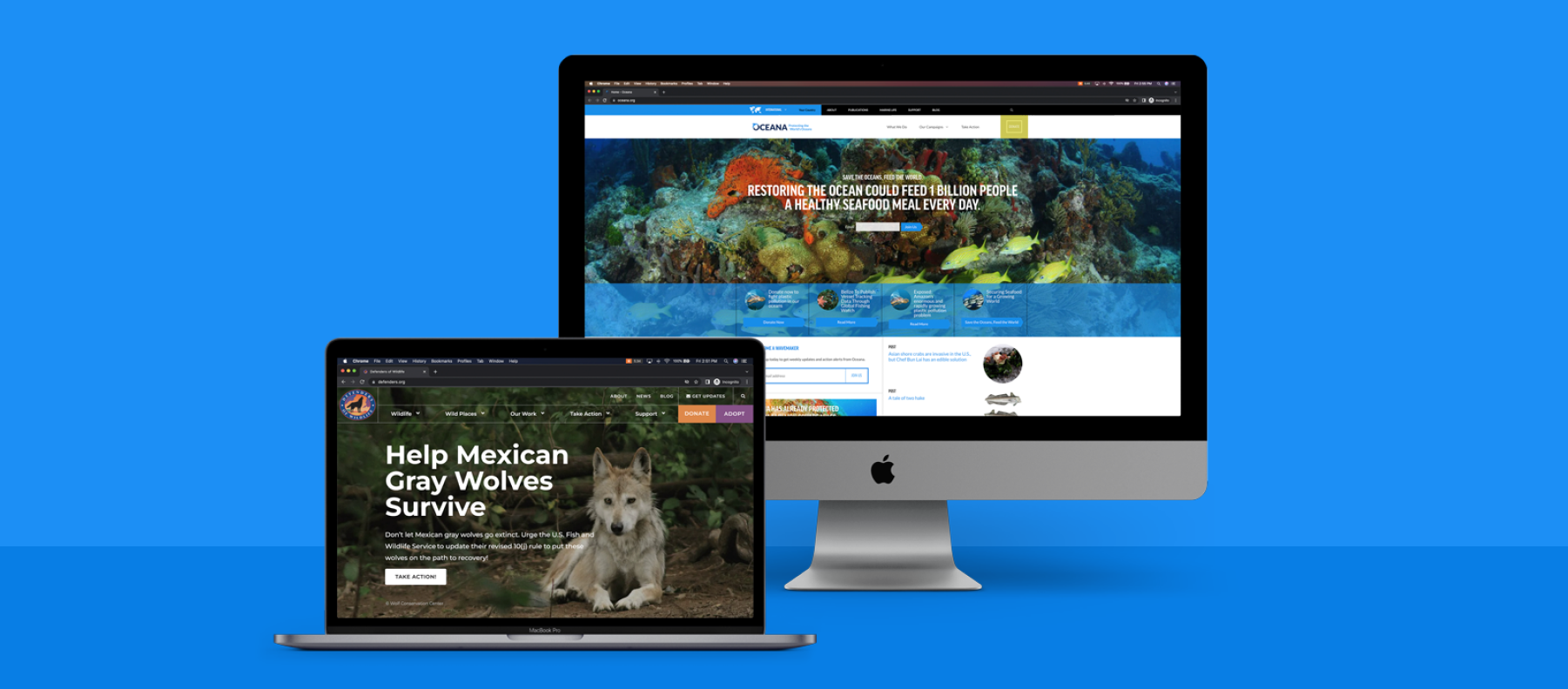 Cover image: Nonprofit Landing Page Design Best Practices and Practical Tips