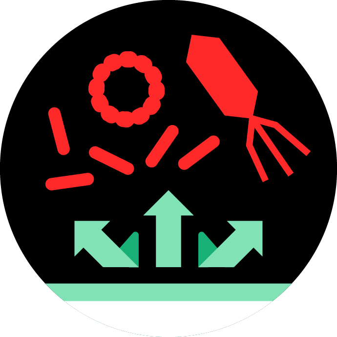 Pinhole-free barrier Illustration