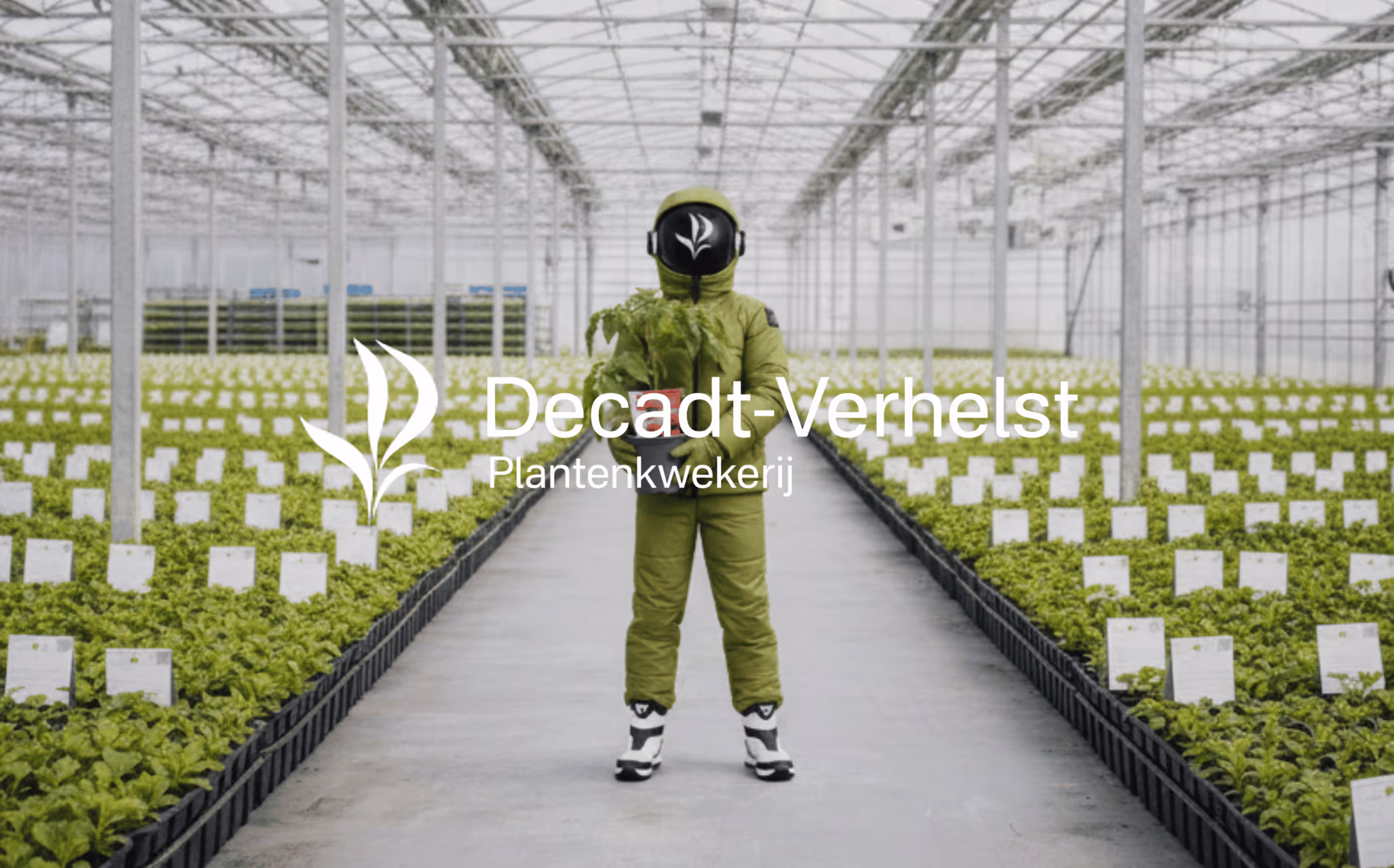 Decadt-Verhelst