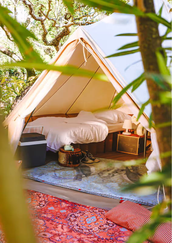 praticalities card link block image