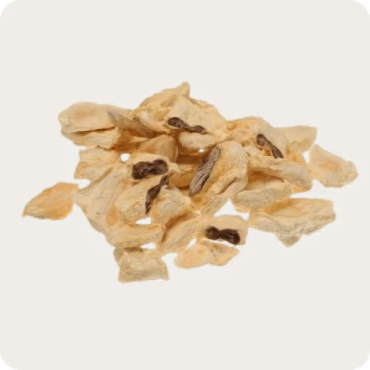 Raw Cacao Beans w/ Pulp from Sri Lanka | 250g