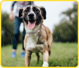 Active through play rain mud