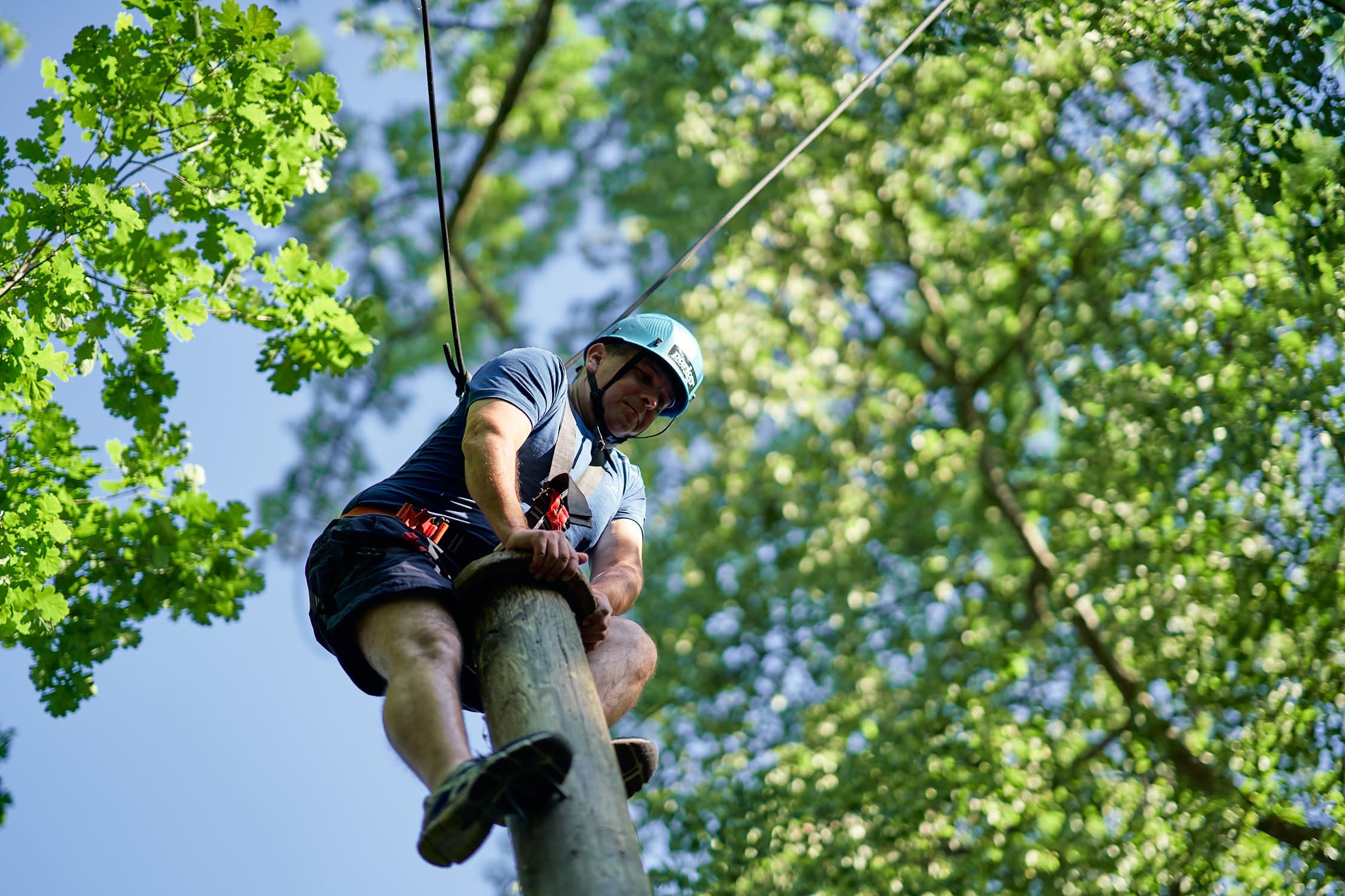 Ein Mann mit Helm klettert an einem Holzpfahl in einem Wald, gesichert durch ein Seil.