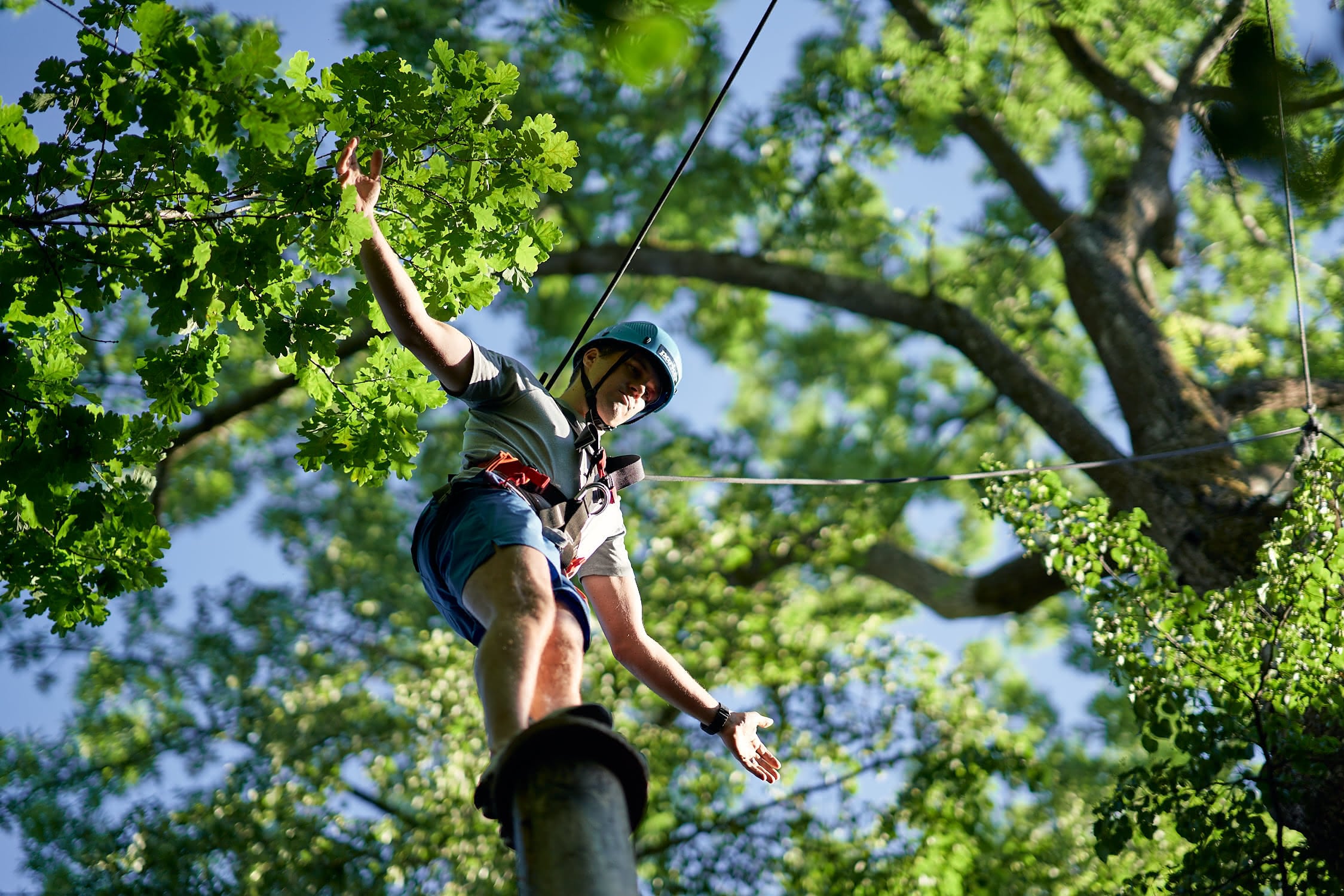 Mann mit Helm balanciert auf Pfosten im Kletterpark umgeben von grünen Bäumen.
