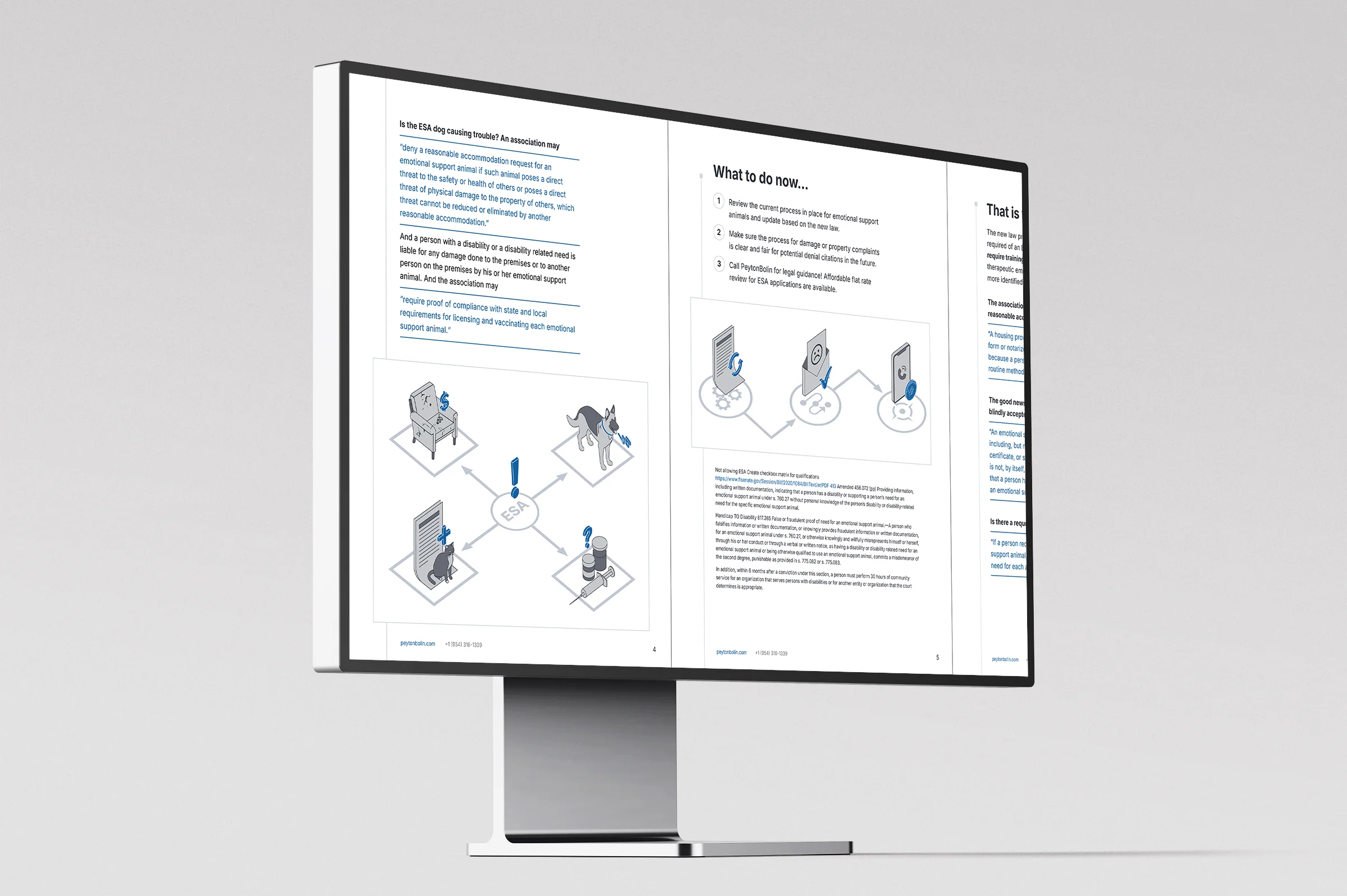 Structured legal information translated into a clean and accessible visual format for end users