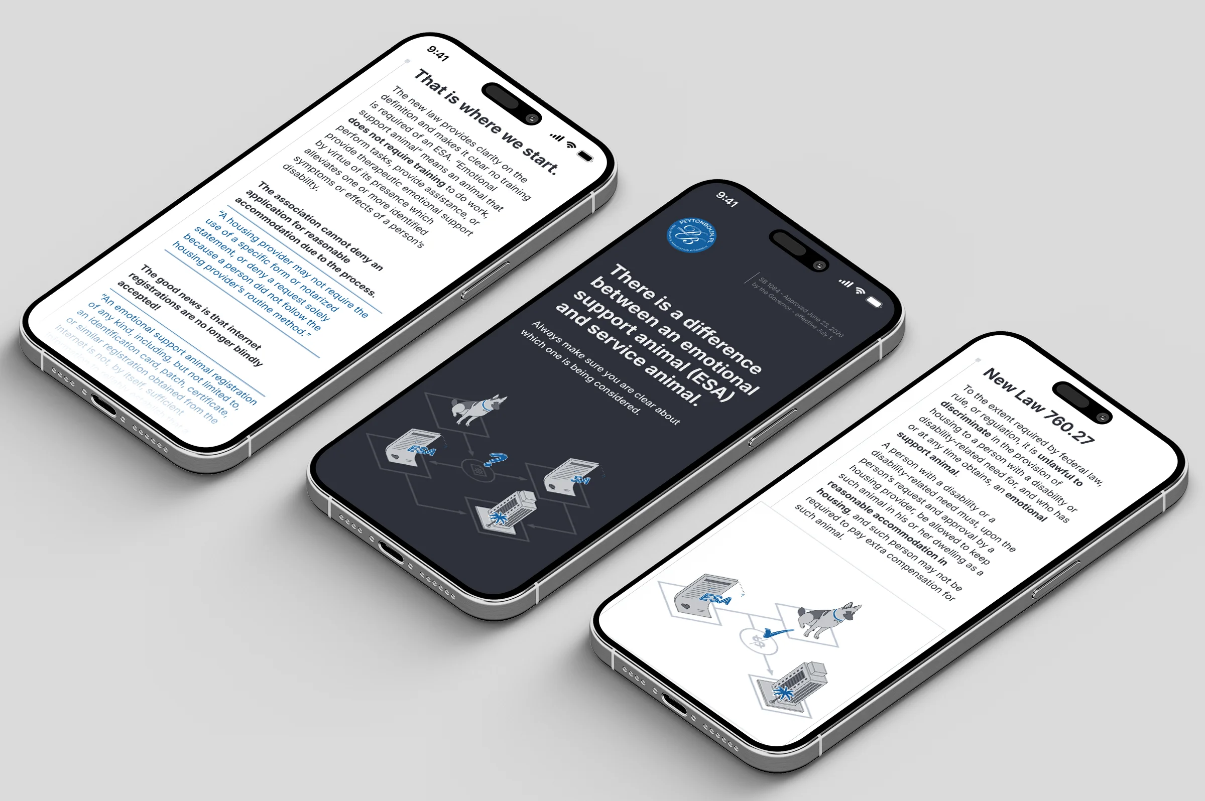 Applied visual design of housing rights information presented in a clear and structured document layout