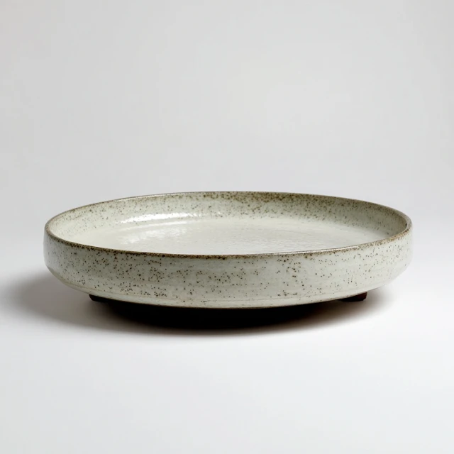 Dish