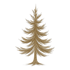 Blue Fir Logo