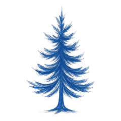 Blue Fir Logo