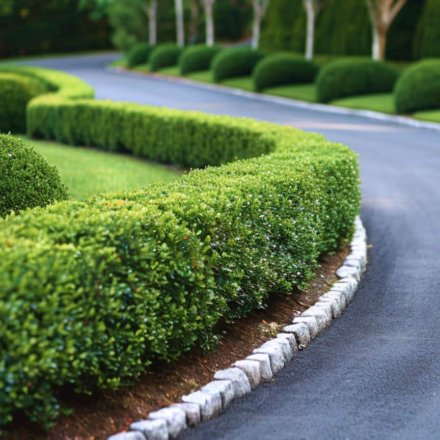 Gallery Image - Landscaping X Webflow Template