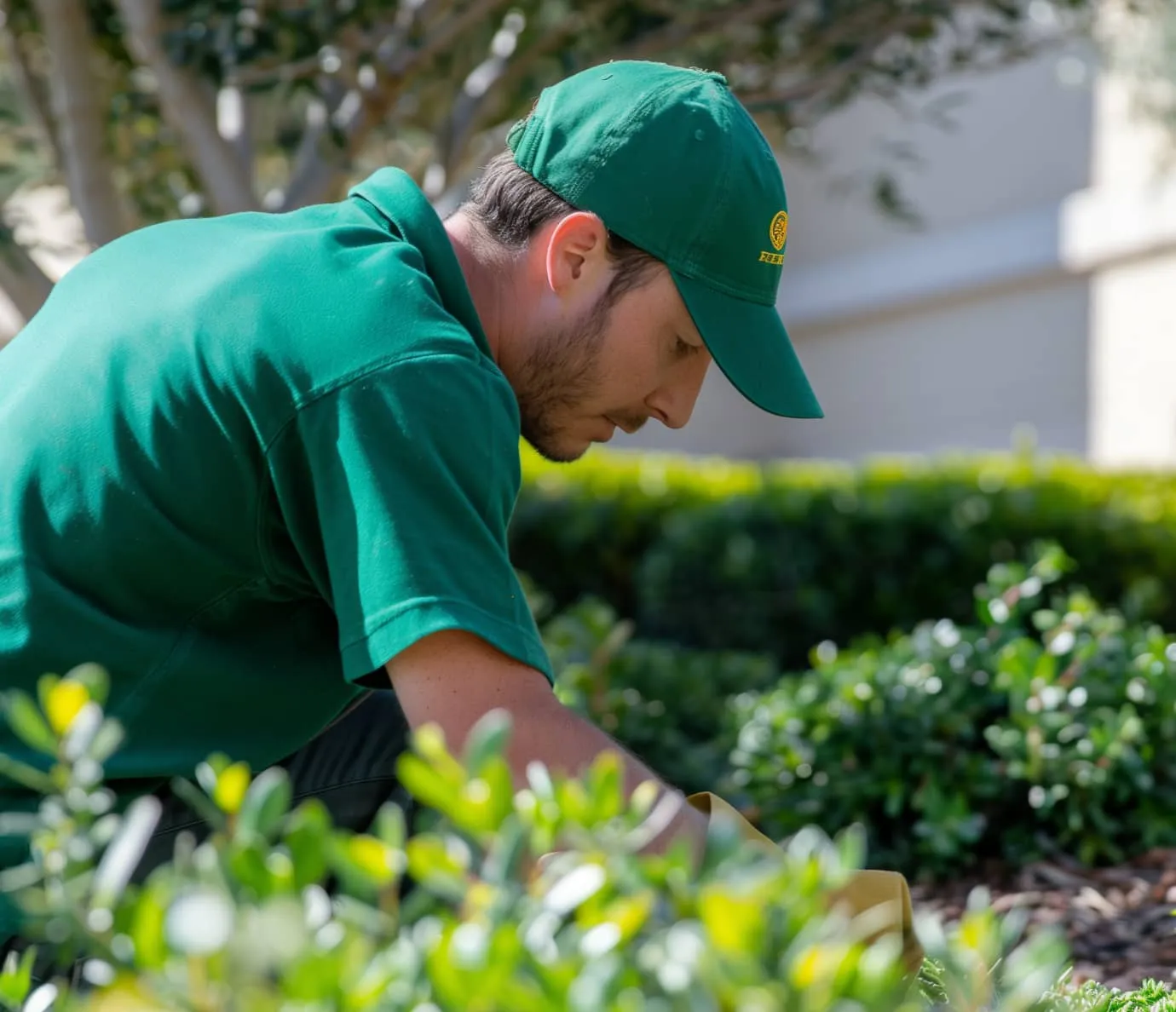 Let Us Bring Life to Your Garden - Landscaping X Webflow Template