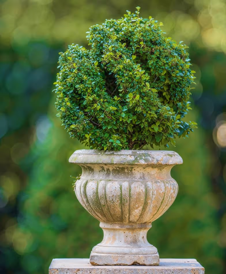 Portfolio Image - Landscaping X Webflow Template