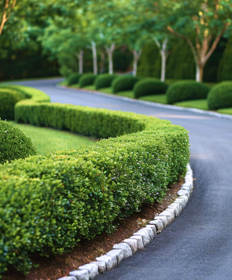 Portfolio Image - Landscaping X Webflow Template