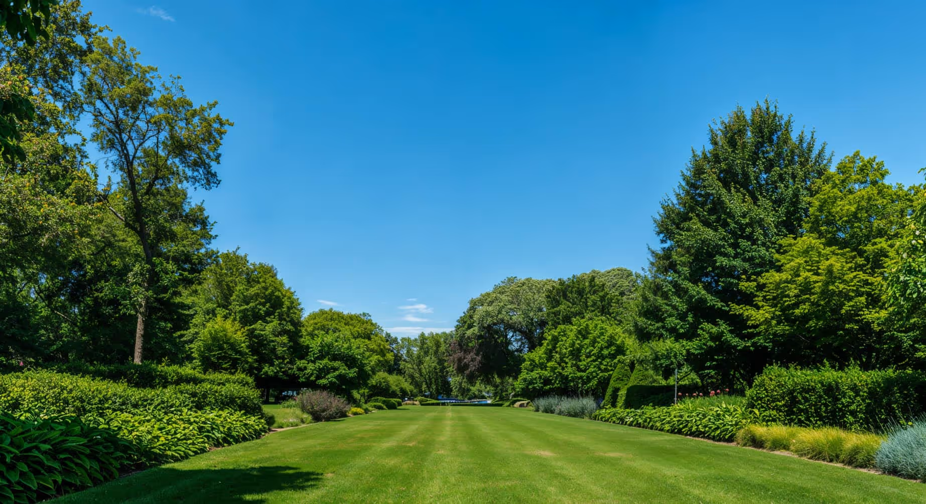 Let us Bring Life to your Garden - Landscaping X Webflow Template