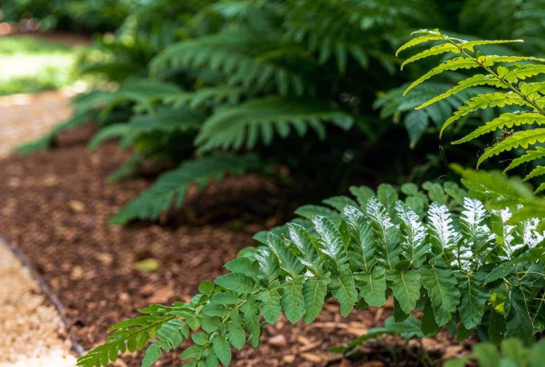 10 interesting ideas to steal from Los Angeles, CA gardens