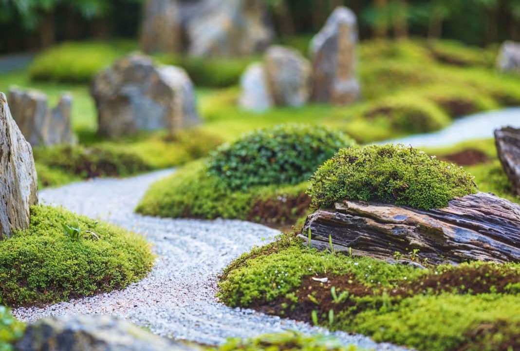 Landscape design 101: Basics for a beautiful yard