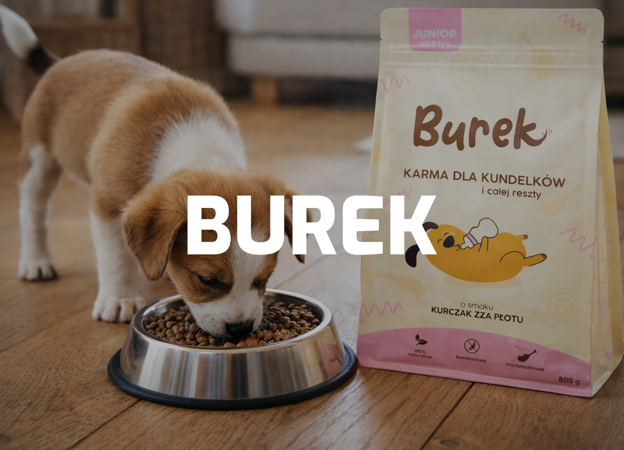 Brown and white puppy eating dry dog food from a metal bowl next to a bag of Burek dog food.