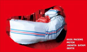 Hasil Packing Motor Jakarta Batam Gratis