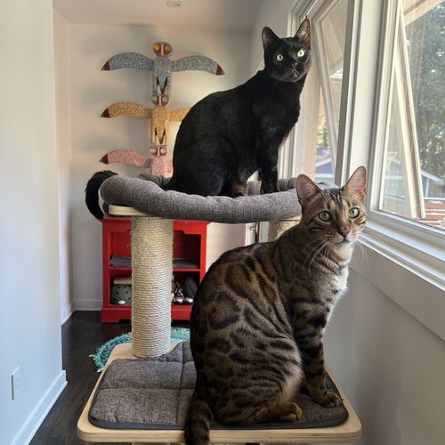 image of students collaborating on a project (for a edtech)