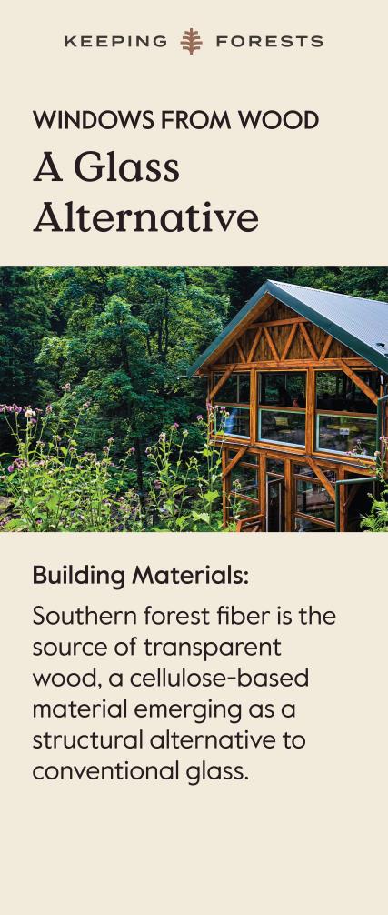 Forest product innovations banner