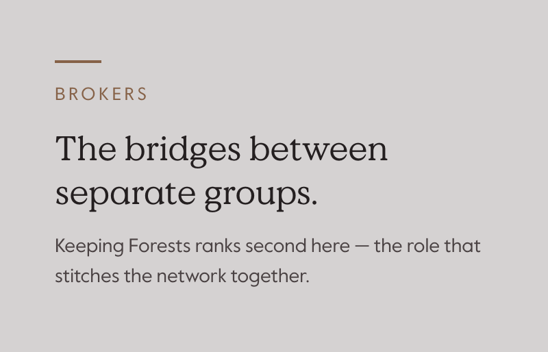 Brokers: the bridges between separate groups