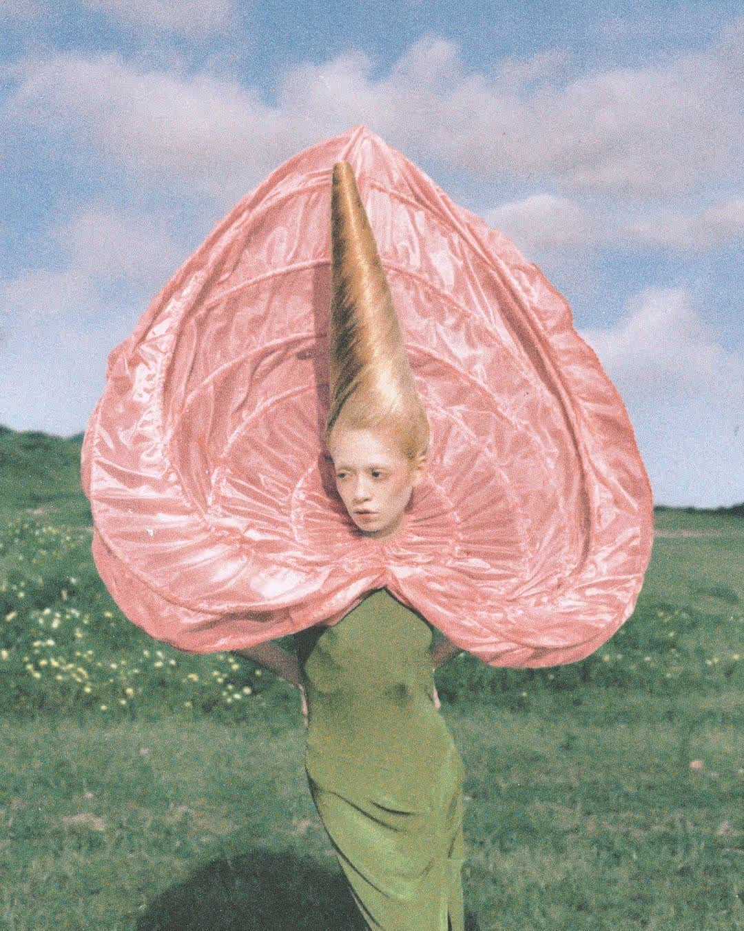 Personne portant un costume vert avec un col large et circulaire en tissu rose, et une coiffure très haute en forme conique, debout dans un champ herbeux sous un ciel bleu avec des nuages.